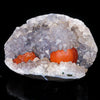 Rare Red Botryoidal Fluorites Natural mineral Specimen # B 7031