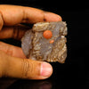 Red Botryoidal Fluorite Ball on Calcite Very Rare Natural Mineral Specimen # B 6769