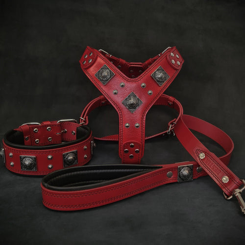 EROS BIG dog SET- Harness - collar - lead. Red