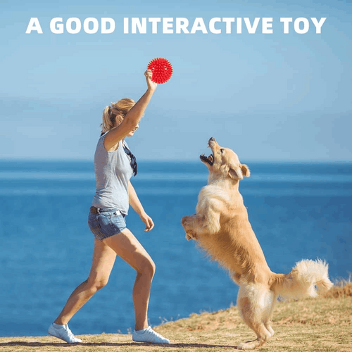 2.5” Squeaky Interactive Dog Balls for Puppy Teething Chew Toys for Small Dogs for Clean Teeth and Training