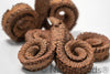 Large Seed Pod Pack