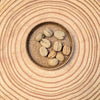 Coffea 'Coffee Plant' Seeds