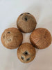 Coconut Shell Half