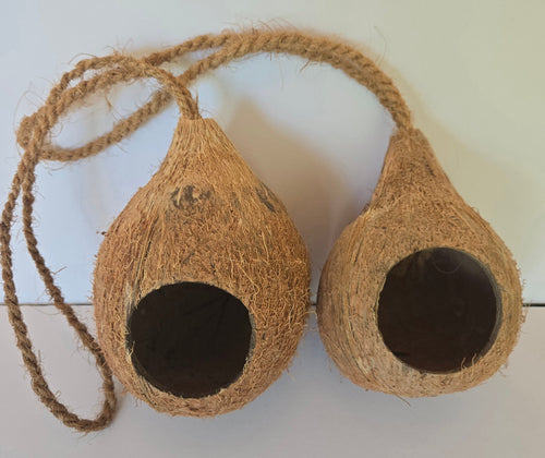 Hanging Coconut Shell Hideout