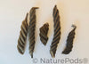 Twisty Pods/Fusilli Pods