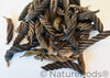 Twisty Pods/Fusilli Pods