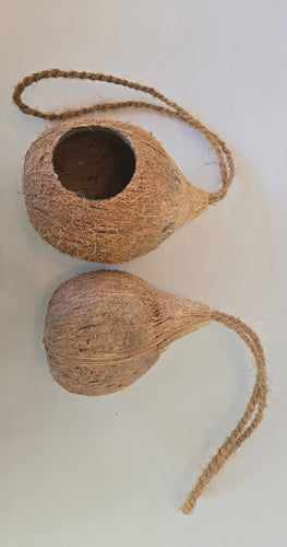 Hanging Coconut Shell Hideout