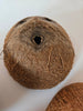 Coconut Shell Half