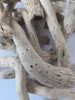 Dried Cabbage Roots