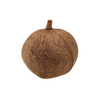 Tingui Pod