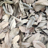 Peruvian Cows Ears Leaf Litter
