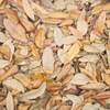 Live Oak Leaf Litter
