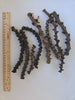 Dried Banana Stems