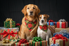 Christmas Dog Bandanas