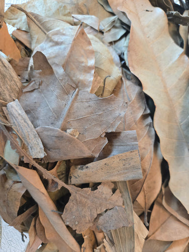 Tropical Leaf Litter Mix - 1 Pound