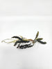 Bucephalandra Godzilla