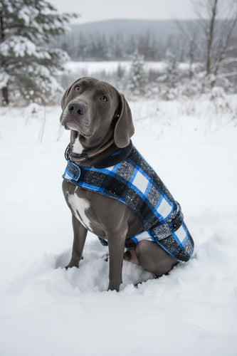 Custom Fleece Dog Vest
