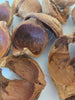 Betel Nut Husks