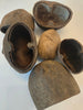 Palm Pod