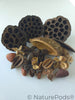 Botanical Seed Pod Variety Pack - 33 Pieces