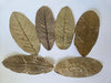 Dried Guava Leaves - 25 pack