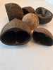 Palm Pod
