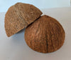 Coconut Shell Half