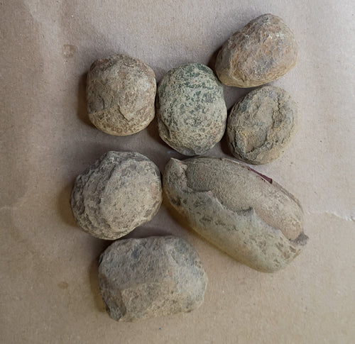 Unopened Mazon Creek fossil nodule (small)