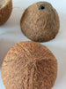 Coconut Shell Half