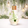 Light Bulb Terrarium with Nano Moss Ball Pet