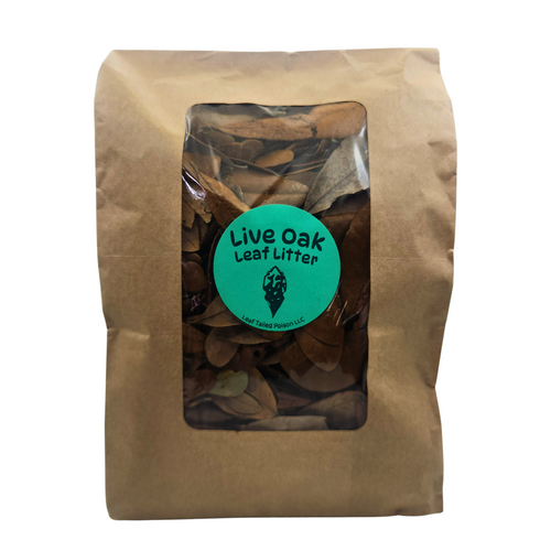 Live Oak Leaf Litter