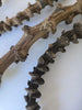 Dried Banana Stems