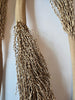 Date Palm Stalk
