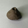 Zoomorphic Bead Machalilla - Ecuador