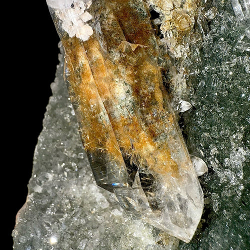 Rutile in Clear Quartz on Chlorite | SELF STANDING | High Quality Mineral | Indian Mineral | Superb Minerals | Collectors Piece