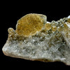 Rutile in Clear Quartz | SELF STANDING | High Quality Mineral | Indian Mineral | Superb Minerals | Fine Mineral | Collectors Piece Item