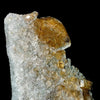 Rutile in Clear Quartz | SELF STANDING | High Quality Mineral | Indian Mineral | Superb Minerals | Fine Mineral | Collectors Piece Item