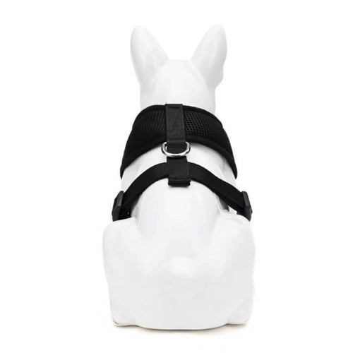 EcoBark Black Dog Harness - Over-the-Head Dog Vest Halter Dog for Small to Medium Dogs and Puppies