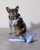 Smiling Sakura Dog Leash