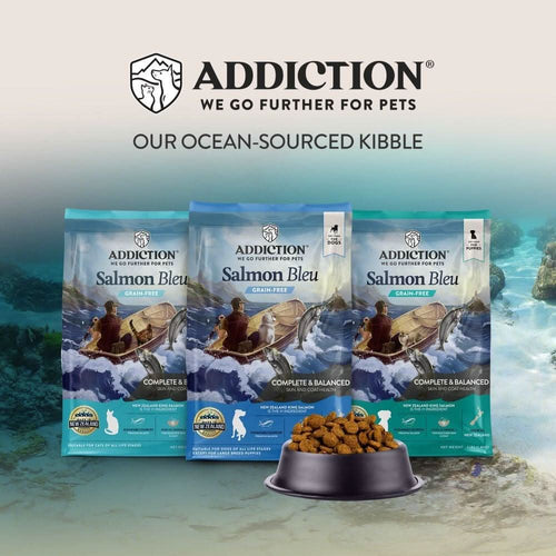 Salmon Bleu Dry Cat Food