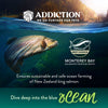 Salmon Bleu Dry Cat Food