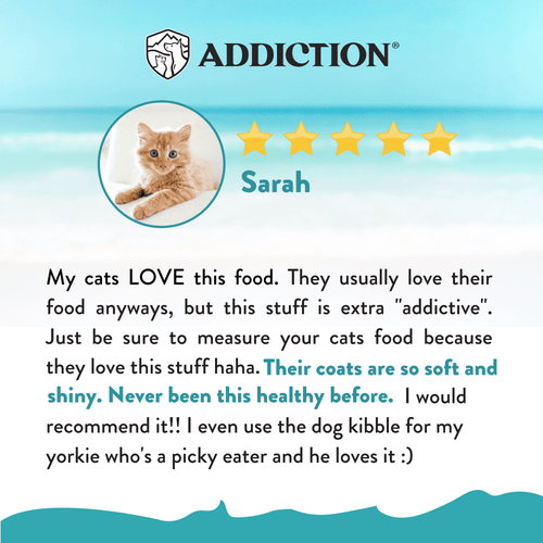 Salmon Bleu Dry Cat Food