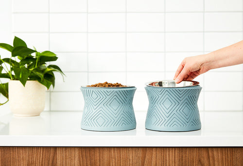 Santa Fe Modern Elevated Dog Bowl