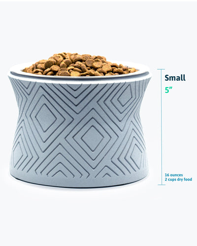 Santa Fe Modern Elevated Dog Bowl