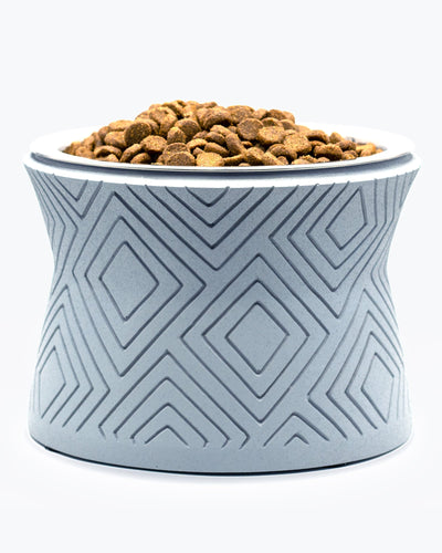 Santa Fe Modern Elevated Dog Bowl