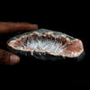 Scolecite Accular Sprays Inside Heulandite Geode Natural Mineral Specimen  # B 4901