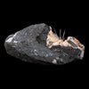 Scolecite Accular Sprays Inside Heulandite Geode Natural Mineral Specimen  # B 4902