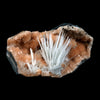 Scolecite Accular Sprays Inside Heulandite Geode Natural Mineral Specimen  # B 4902