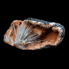 Scolecite Accular Sprays Inside Heulandite Geode Natural Mineral Specimen  # B 4902