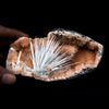Scolecite Accular Sprays Inside Heulandite Geode Natural Mineral Specimen  # B 4902